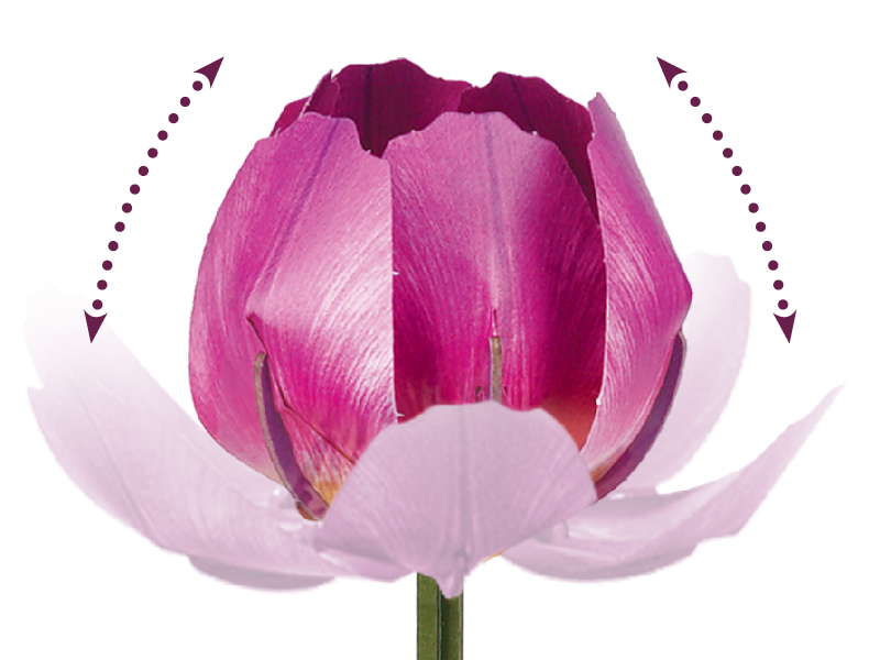Dynamic blooming