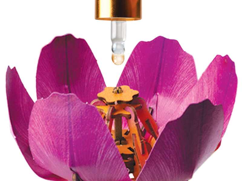 Fragrance insert