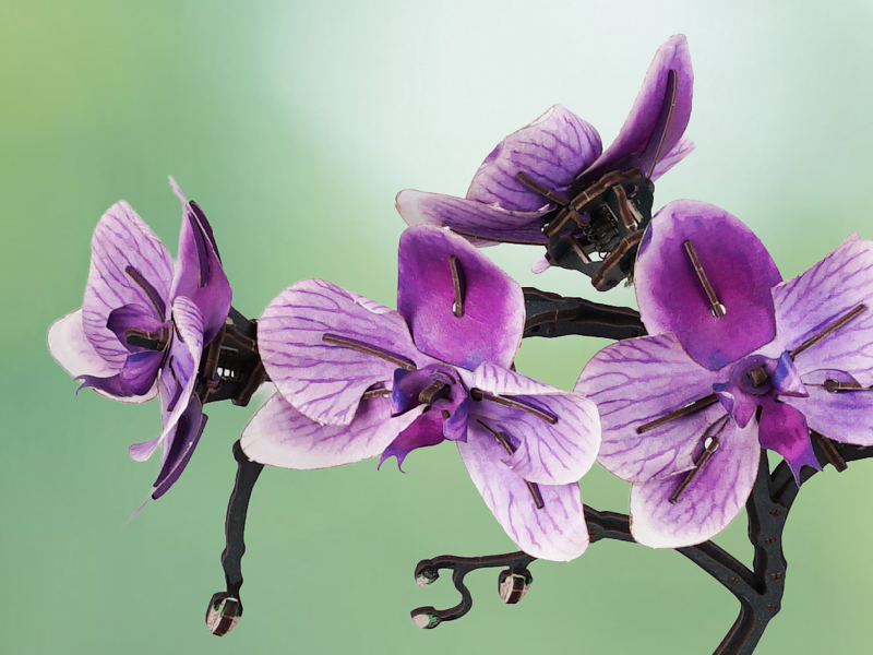 Orchid flower for the Unique bond stage